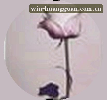 孙涛